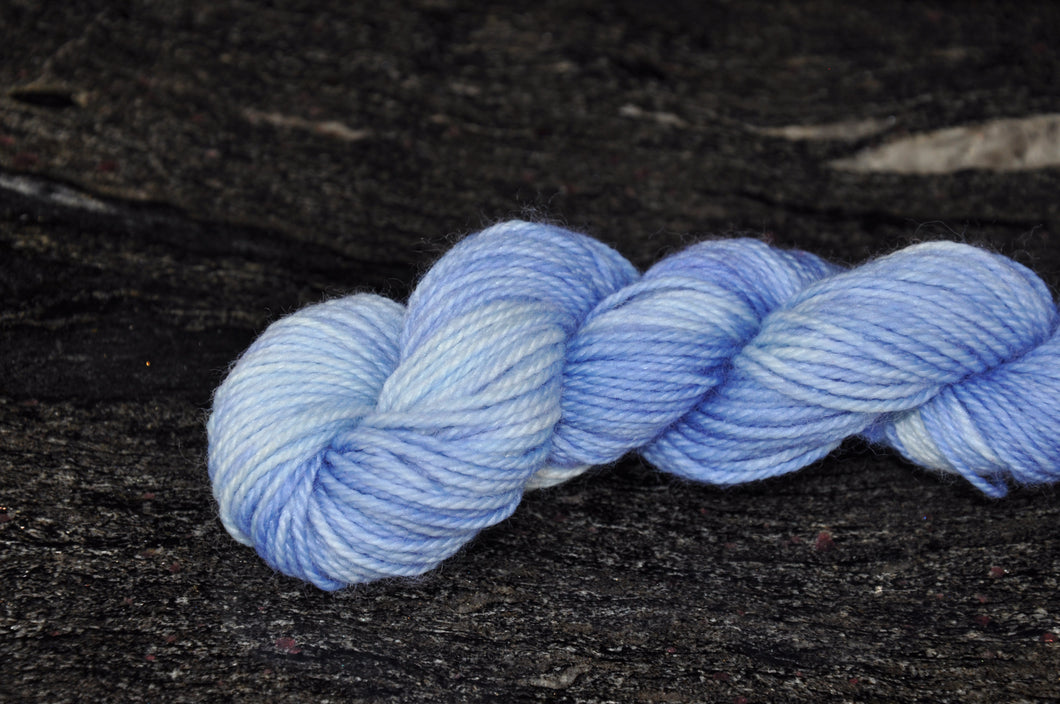 Blue Whale - Second